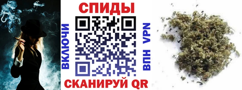 как найти закладки Апатиты Бутират 99%