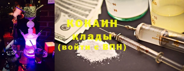 крисы Алзамай