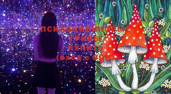 соль курить ск Алексин