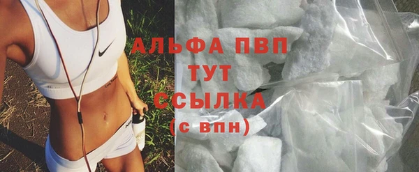 крисы Алзамай
