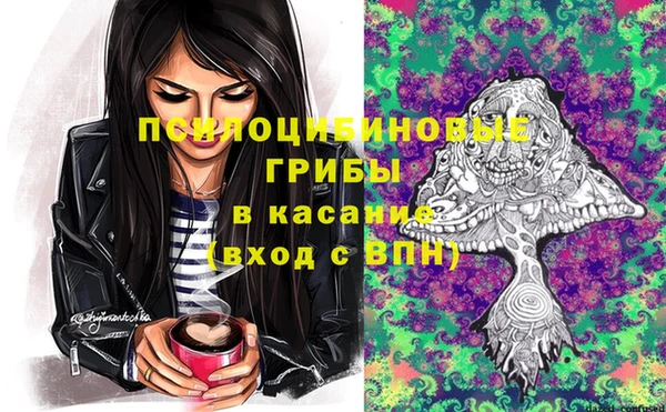 крисы Алзамай
