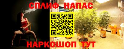 PSILOCYBIN Абинск