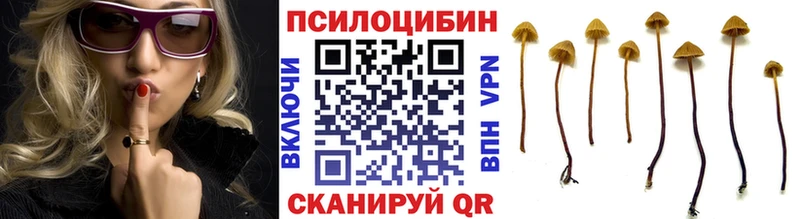 закладка  Апатиты  Псилоцибиновые грибы ЛСД 