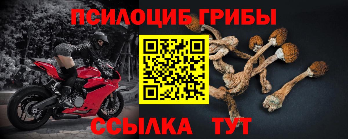 Галлюциногенные грибы прущие грибы  Вход с VPN  Апатиты  Галлюциногенные грибы мицелий 